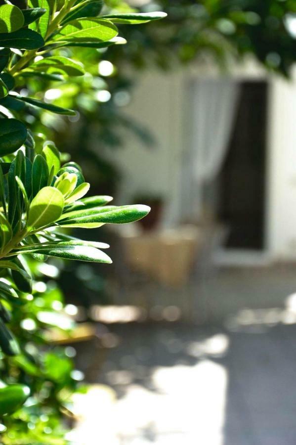 Green House Beach Hotel Mondello Luaran gambar